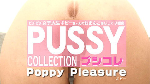 Poppy Pleasure Low Speck