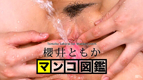 Tomoka Sakurai マン汁